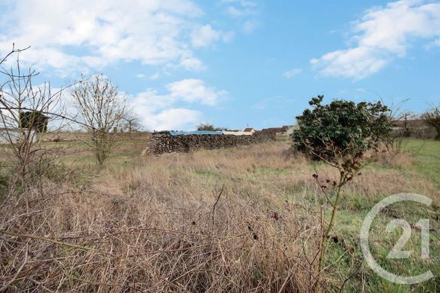 Afficher la photo en grand terrain à vendre - 1426.0 m2 - MONTLIVAULT - 41 - CENTRE - Century 21 Girault Immobilier