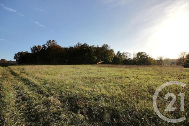 terrain à vendre - 5450.0 m2 - CHAUMONT SUR LOIRE - 41 - CENTRE - Century 21 Girault Immobilier