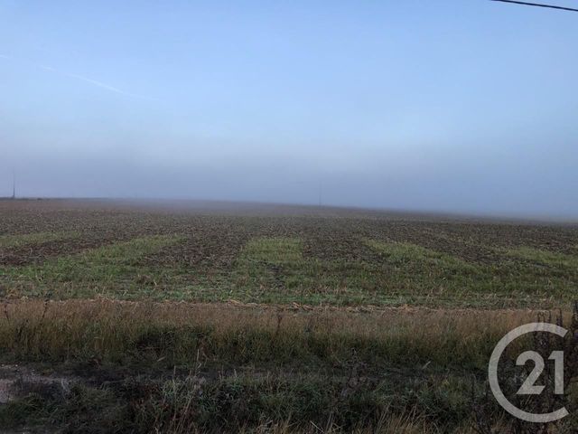 terrain - MENARS - 41