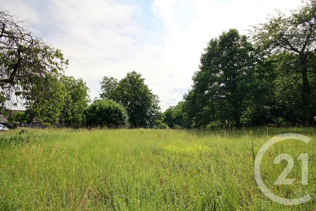 terrain à vendre - 2490.0 m2 - MONTLIVAULT - 41 - CENTRE - Century 21 Girault Immobilier