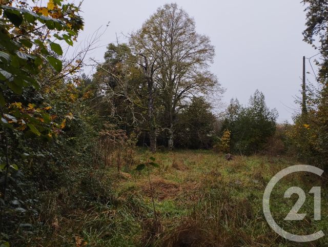 terrain à vendre - 1178.0 m2 - CELLETTES - 41 - CENTRE - Century 21 Girault Immobilier