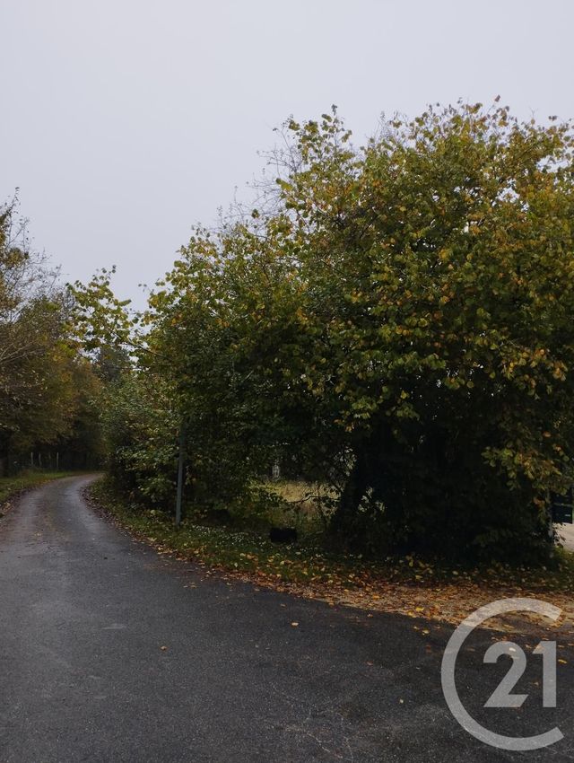terrain à vendre - 1178.0 m2 - CELLETTES - 41 - CENTRE - Century 21 Girault Immobilier