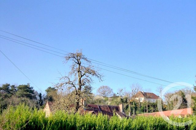 Afficher la photo en grand maison à vendre - 9 pièces - 241.0 m2 - VEUZAIN SUR LOIRE - 41 - CENTRE - Century 21 Girault Immobilier