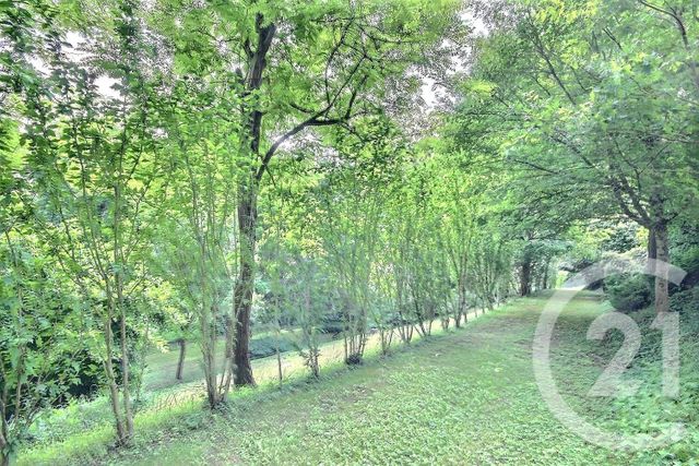 Afficher la photo en grand maison à vendre - 9 pièces - 241.0 m2 - VEUZAIN SUR LOIRE - 41 - CENTRE - Century 21 Girault Immobilier