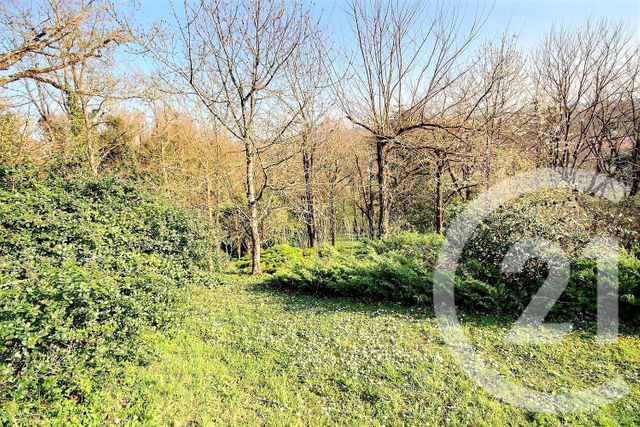 Afficher la photo en grand maison à vendre - 9 pièces - 241.0 m2 - VEUZAIN SUR LOIRE - 41 - CENTRE - Century 21 Girault Immobilier