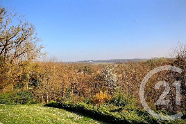 Afficher la photo en grand maison à vendre - 9 pièces - 241.0 m2 - VEUZAIN SUR LOIRE - 41 - CENTRE - Century 21 Girault Immobilier