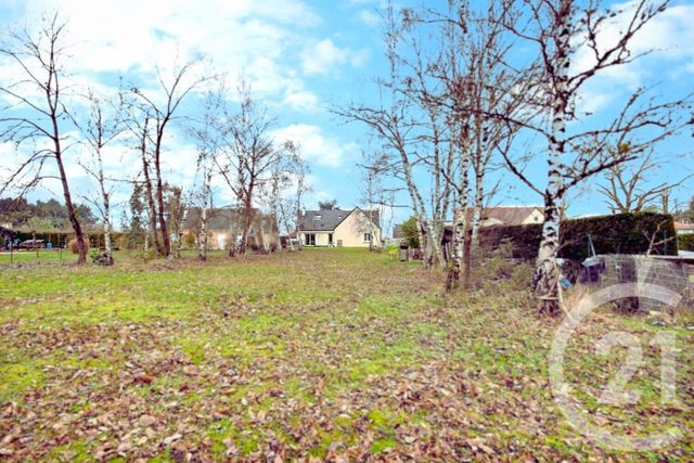 maison à vendre - 6 pièces - 162.0 m2 - ST DYE SUR LOIRE - 41 - CENTRE - Century 21 Girault Immobilier