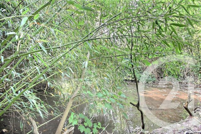 maison à vendre - 7 pièces - 240.0 m2 - LA CHAUSSEE ST VICTOR - 41 - CENTRE - Century 21 Girault Immobilier