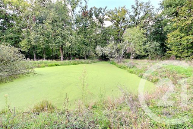 maison à vendre - 8 pièces - 275.44 m2 - COUR CHEVERNY - 41 - CENTRE - Century 21 Girault Immobilier