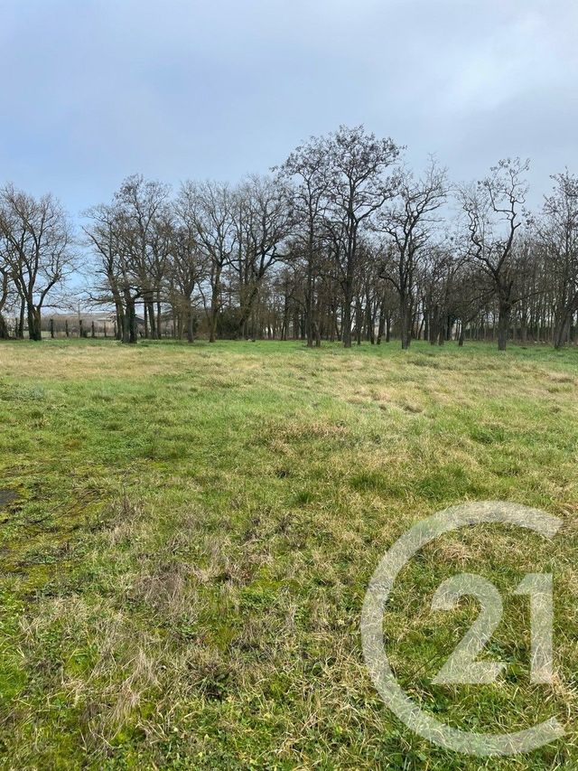 maison à vendre - 10 pièces - 230.0 m2 - AVERDON - 41 - CENTRE - Century 21 Girault Immobilier