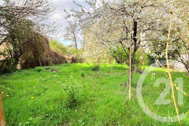 maison à vendre - 7 pièces - 177.0 m2 - CHAUMONT SUR LOIRE - 41 - CENTRE - Century 21 Girault Immobilier