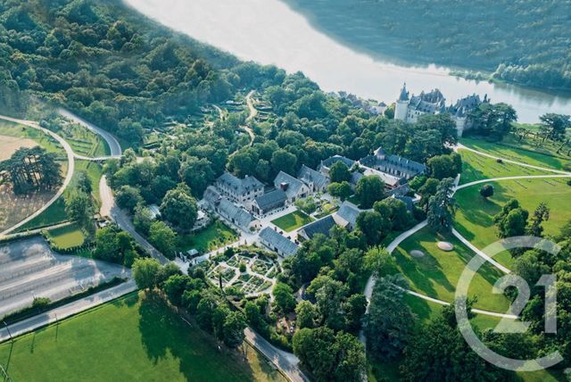 maison - CHAUMONT SUR LOIRE - 41