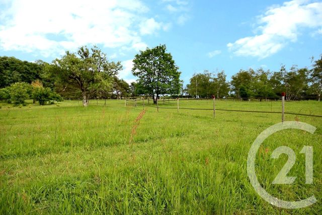 maison à vendre - 6 pièces - 180.0 m2 - OUCHAMPS - 41 - CENTRE - Century 21 Girault Immobilier