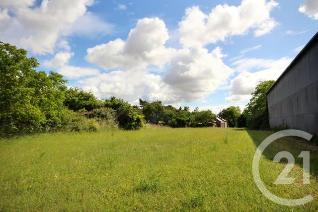maison à louer - 3 pièces - 78.0 m2 - OUCQUES LA NOUVELLE - 41 - CENTRE - Century 21 Girault Immobilier